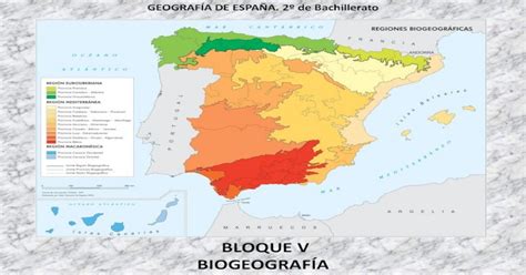 Bloque V BiogeografÍa€¦ · Tema 7 Las Regiones BiogeogrÁficas De EspaÑa