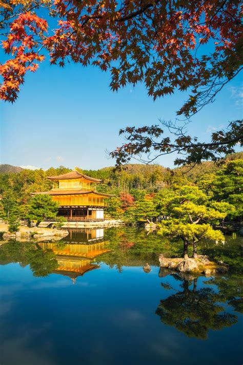 The Golden Pavilion With Red Maple Leaves In The Foreground In K Stock