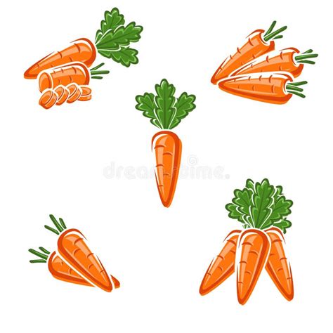 Carrot Set Vector Stock Vector Illustration Of Carrots 112928875
