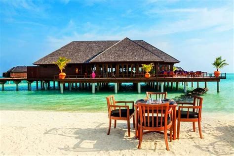 Det finns inga omdömen om bismi restaurant, indonesien än. 10 Restaurants In Bora Bora: The Best Seafood And Sunsets