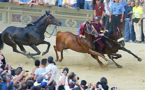 Il Palio The Worlds Wildest Horse Race Horses Siena Italy Toscana