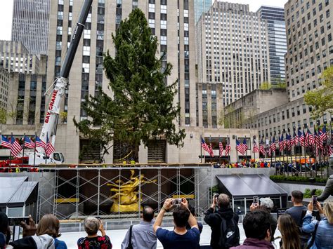 An 82 Foot Christmas Tree Arrives At New York Citys Rockefeller Center