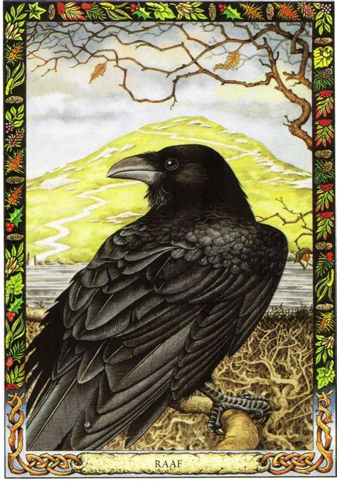 The Raven Symbolism Celtic Raven Order Of Bards Ovates And Druids