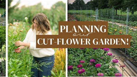 Planning A Cut Flower Garden How I Plan Design Our Flower Garden