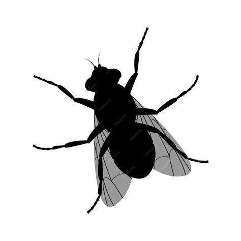 Premium Vector The Silhouette Of A Fly Fly Top View A Flying Insect