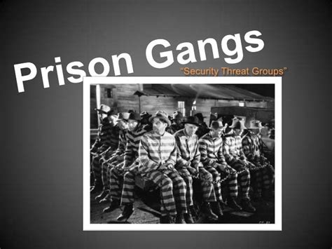 Prison Gangs For Small Group Communication