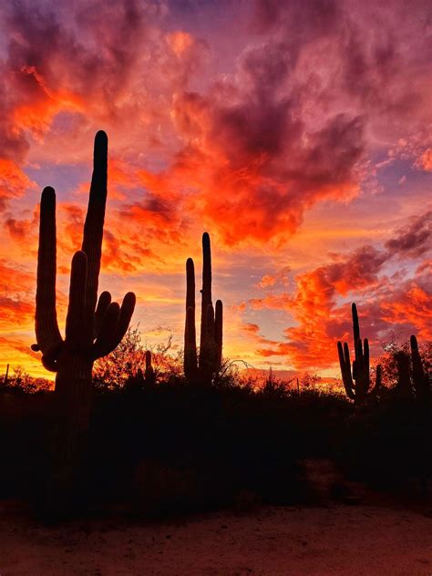 Pin by Mee Lee on Tucson Arizona | Arizona sunset, Arizona photography, Arizona landscape