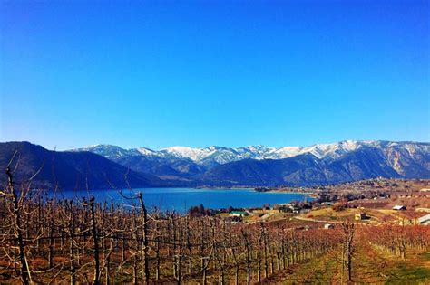 Best Of February In Chelan The Lookout At Lake Chelan