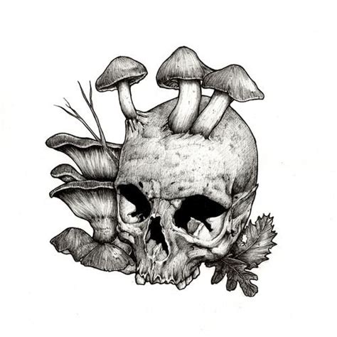 Just Art Mushroom Drawing Skull Art Skulls Drawing