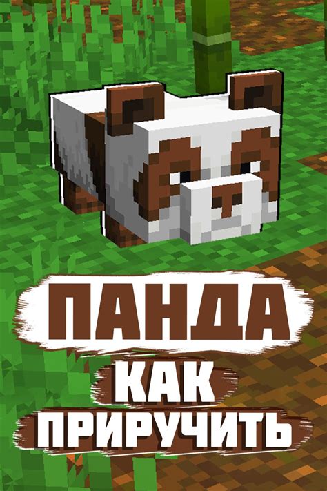 Панды в Minecraft Minecraft майнкрафт Minecrafttutorial майн домаminecraft майнкрафт