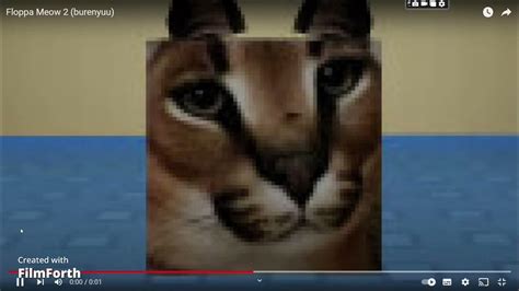 Floppa Meow Roblox 1 Hour Youtube