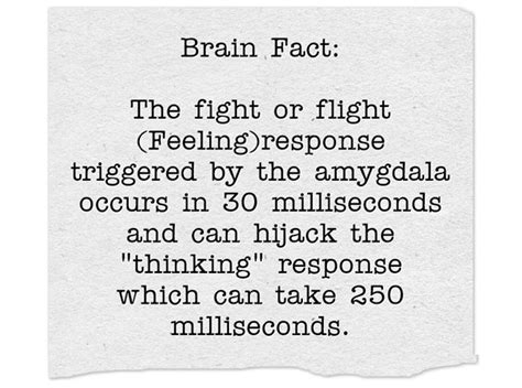 Brain Fact The Fight Or Flight Feeling Response Triggered Quozio