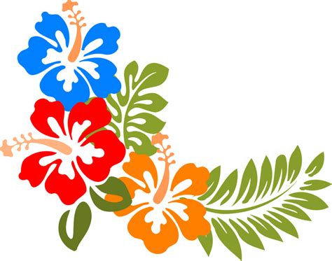 Hibiscus Hawaii Flowers · Free Vector Graphic On Pixabay