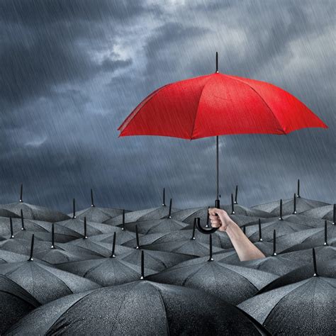 7 Examples Of Successful Umbrella Branding Strategies Propr Creative