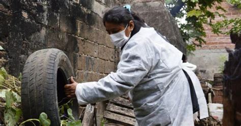 Se Elev A La Cifra De Casos Confirmados De Dengue En Jujuy