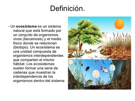 Biologia2019 Ecosistemas Grado 7