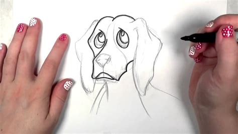 How To Draw A Beagle Dog Drawing Lesson Youtube