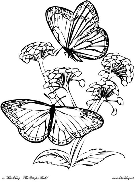 Here are the all time favorite embroidery designs from stitch emporium. embroidery pattern for monarch butterfly - Google Search ...