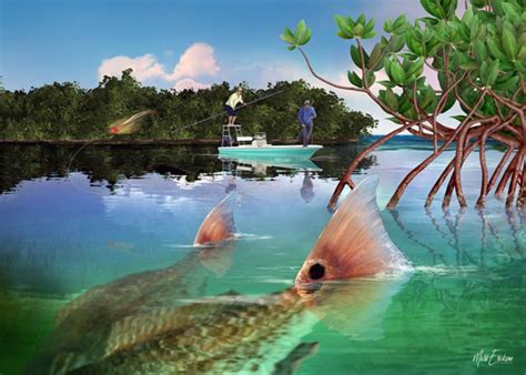 Redfish Fly Fishing Art Print By Marine Life Artist Mark Erickson