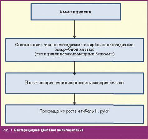 Диета при антибиотикоассоциированной диареи