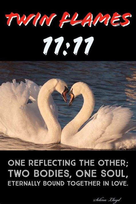 twin flames reflect each other in love in this beautiful image 11 11 is the angel number which