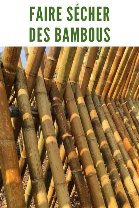 Comment faire Sécher des Bambous Verts Bambou Idée déco bambou
