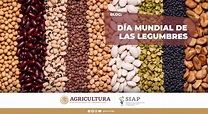 Día Mundial de las Legumbres | Servicio de Información Agroalimentaria ...