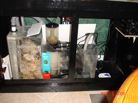 Adding A Refugium Into A Sump Reef Keeping Austin Reef Club