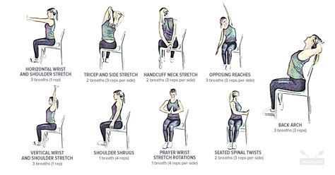 Stretching Exercises For Sore Neck And Shoulders Exercisewalls