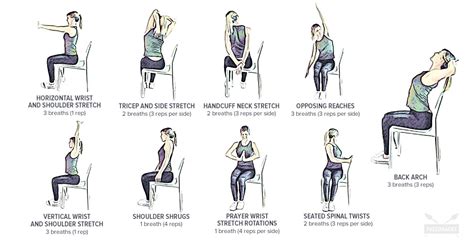 The muscle you feel stretching is the piriformis muscle, that runs through your buttocks, often contributing to lower back. 9 Seated Stretches to Release Neck + Back Pain | Gentle ...
