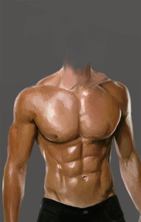 Muscles of the torso indicated by color. Muscular Body Drawing at GetDrawings | Free download