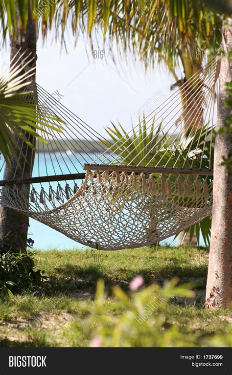 Relaxing Beach Hammock Image And Photo Free Trial Bigstock
