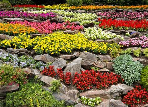 15 Beautiful Rock Garden Ideas For Landscape That You Should Try For