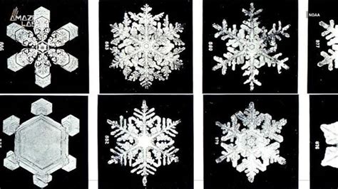 Why No Two Snowflakes Are The Same