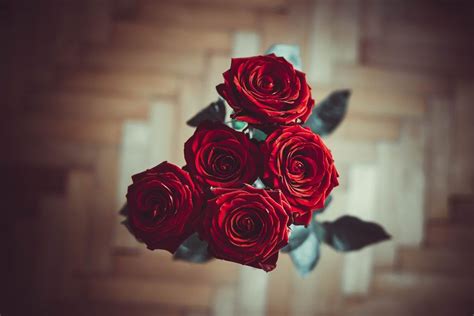 A Bunch Of Red Roses Sitting On Top Of A Wooden Table Next To A Wall