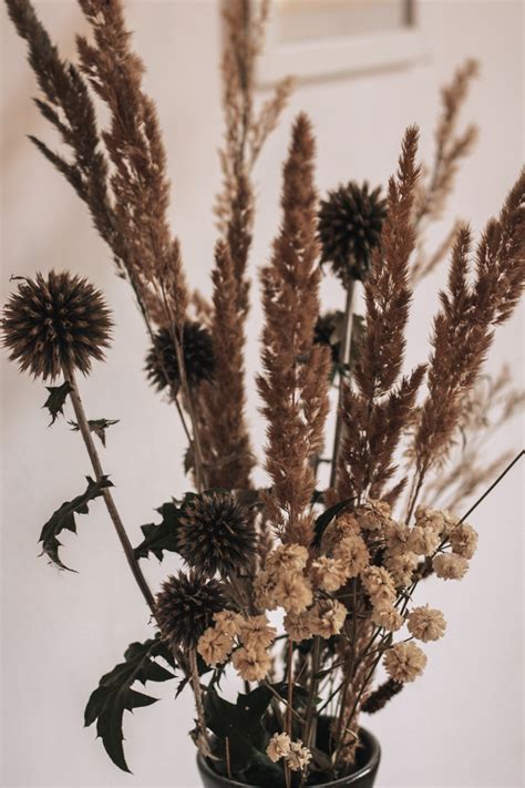 Doch was brauche ich alles um hühner im garten zu halten. Trockenblumen selber machen - Diese Pflanzen eignen sich ⋆ ...