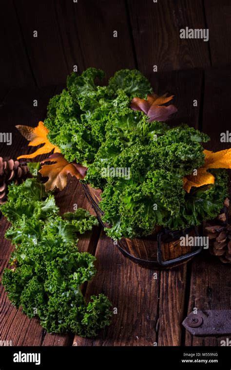 Kale Brassica Oleracea Stock Photo Alamy