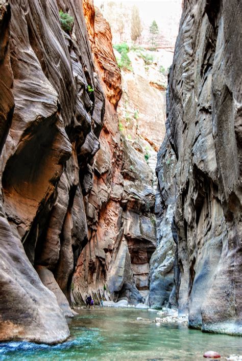 Yes You Can Hike The Narrows In Zion With Kids Everything You Need To