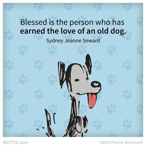 Blessed Is The Person Who Has Earned The Love Of An Old Dog Animal