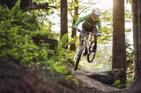 Mountain Biker Riding Through Woods Stock Photo