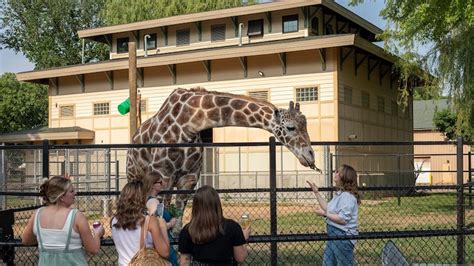Whats New At The Great Plains Zoo