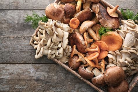 Different Types Of Edible Mushrooms With Pictures Clean Green