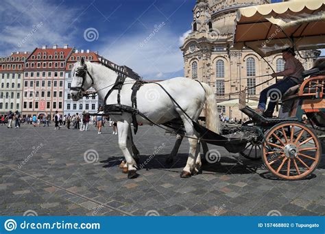 Dresden Horse Carriage Editorial Photography Image Of Europe 157468802