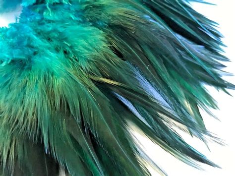 Bulk 50pcs Aqua Blue Rooster Feathers 9 15cm Diy Craft Millinery Dream