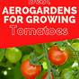Aerogarden Cherry Tomato Guide