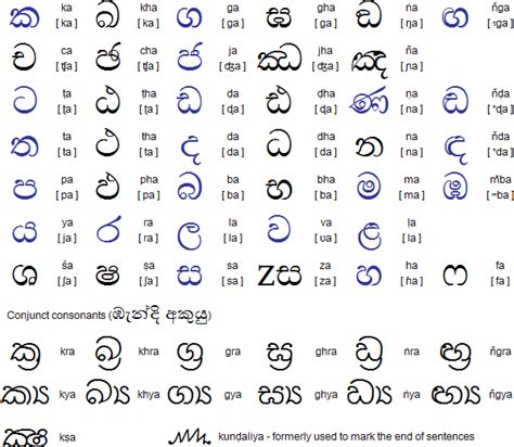 Sinhala Alphabet Chart Collection Oppidan Library