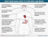 Pictures of Effects Marijuana Has On The Body