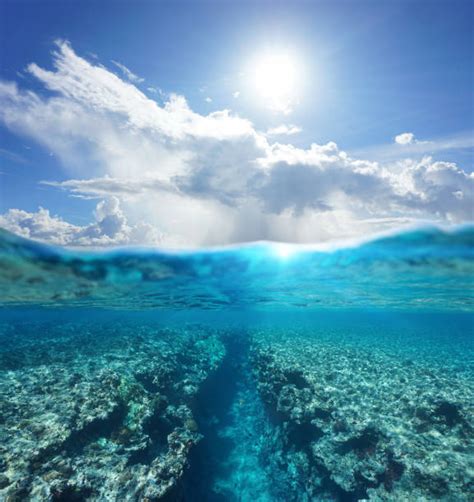 Ocean Trench Stock Photos Pictures And Royalty Free Images Istock