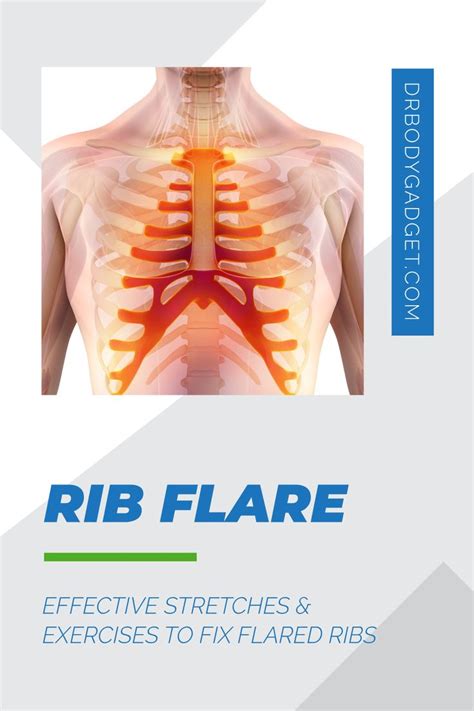 Flared Ribs How To Fix And Prevent Your Ribs From Sticking Out Stick