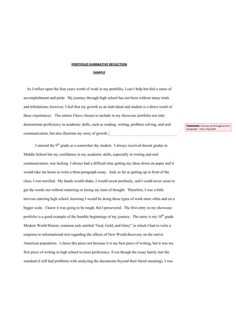 Portfolio Essay Examples Reflective Student Writing
